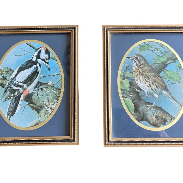 Framed Bird Prints Etsy