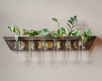 Propagation Station Wall Hanging with Moon Phases - Plant Shelf - Plant Starter with 6 Test Tubes