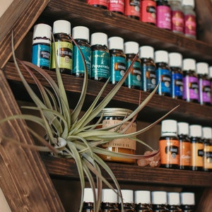 May include: A dark brown, hexagonal wooden shelf displaying numerous essential oil bottles with white caps and colorful labels. A small air plant and a candle are also on the shelf. The oils are organized by type.