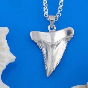 Shark Tooth Necklace - Sterling Silver - Shark Tooth Jewelry - Shark Jewelry -  Sea Life Jewelry - Beach Jewelry - Shark Tooth Pendant