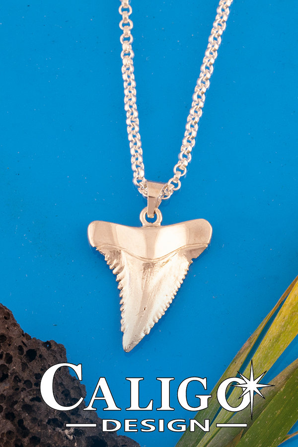 vintage SHARK TEETH pendant top サメの歯 3連 il_fullxfull.2142649425_cxk8.jpg