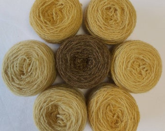 Coreopsis naturally dyed Shetland wool, ideal for Fairisle knitting and other colour work. Available in 25g balls.