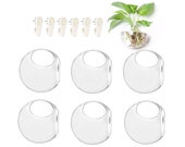 6-Pack Wall Hanging Planters Glass Terrariums - Round Air Plants Wall Containers Succulents Globe Orbs (4.7 x 4.7 Inches)