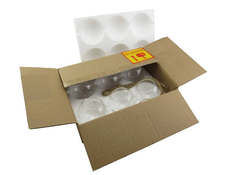 Set of 6 Hanging Glass Globe Plant Terrariums Glass Orbs Air Etsy