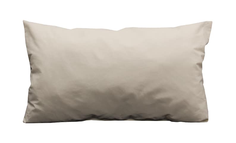 May include: A plain white pillow with a smooth, slightly wrinkled surface.
