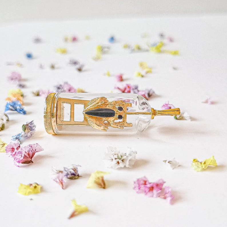 May include: A gold-colored metal frog figurine inside a clear glass bottle with a gold-colored metal stopper. The bottle is lying on a white surface with scattered flower petals.