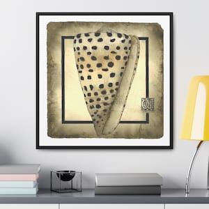 Coastal Art - Different Sizes Available - With Frame, Shell Artwork, Neutral Sea Shells Art Print, Natural Beachy Art