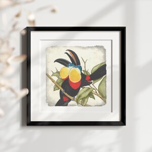 Toucan Gallery Wall Art Print With Different Sizes Available - (print only)  Tropical Print, Tropical Painting, Fine Art, Coastal Decor
