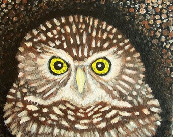 Owl Painting, Burrowing Owl, Acrylic Owl Painting, Endangered Species, Nature Art, Owl Art,  Madislandartist, Diane Marie