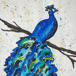 Watercolor/Acrylic Painting: Peacock