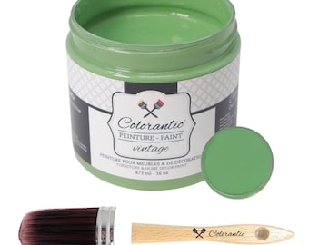 May include: A jar of green vintage paint with a matching lid, a paintbrush, and a small wooden paint tool. The jar label reads "Colorantic PEINTURE - PAINT vintage" and "FURNITURE & HOME DECOR PAINT 473 ml - 16 oz."