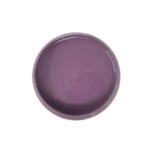 May include: A small round container of purple paint.