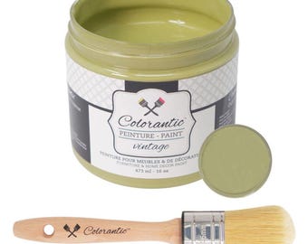 Colorantic- Bundle Light Green (Kiwi) Chalk Paint and 35mm Oval Beeswax Paint Brush