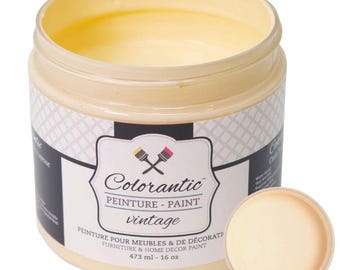 ORANGESICLE - Light Orange - Chalk Based Paint | Furniture and DIY Home Decor Projects