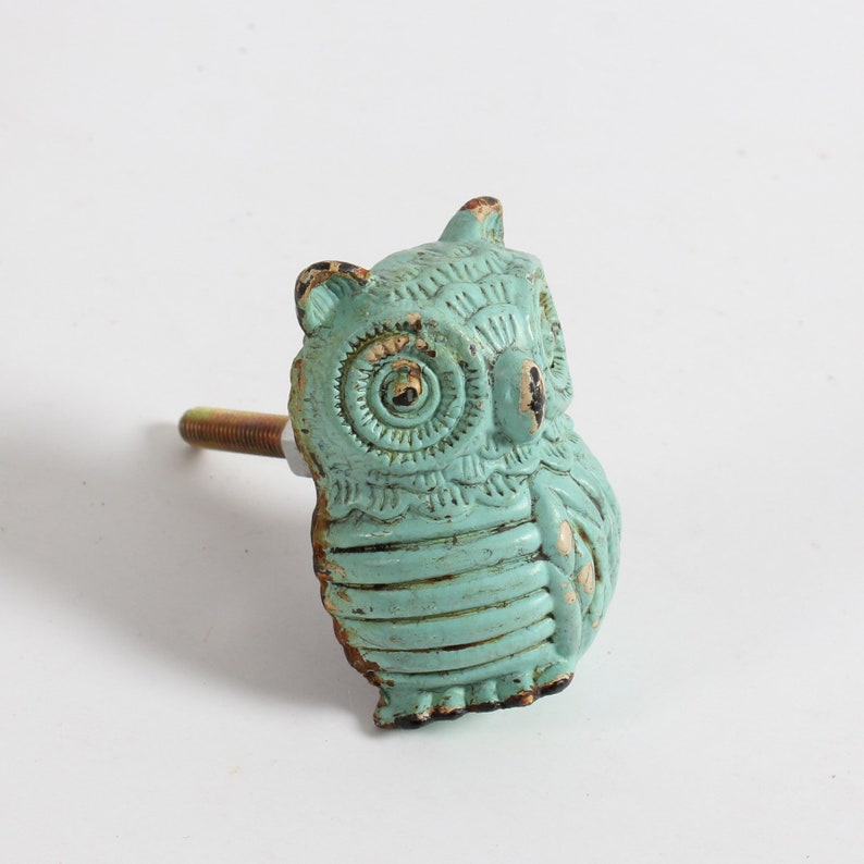 May include: A teal blue owl-shaped cabinet knob with a metal screw. The owl has a detailed design with feathers and eyes.