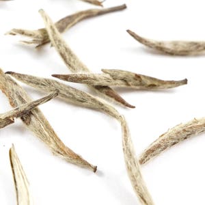 Aged Silver Needle White Tea. All Natural. Properly Aged Over 5 Years. Gourmet Loose Leaf Tea