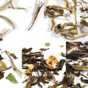 White Tea Variety Sampler Pack. 4 Gourmet Loose Leaf White Tea Samplers. 100% Natural. Rich In Antioxidants.