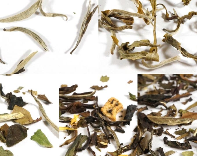 White Tea Variety Sampler Pack. 4 Gourmet Loose Leaf White Tea Samplers. 100% Natural. Rich In Antioxidants.