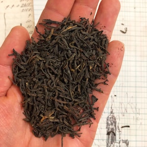May include: A handful of loose leaf tea, with dark brown and golden hues. The tea leaves are tightly curled and appear dry. The background includes handwritten notes and a sketched architectural drawing.