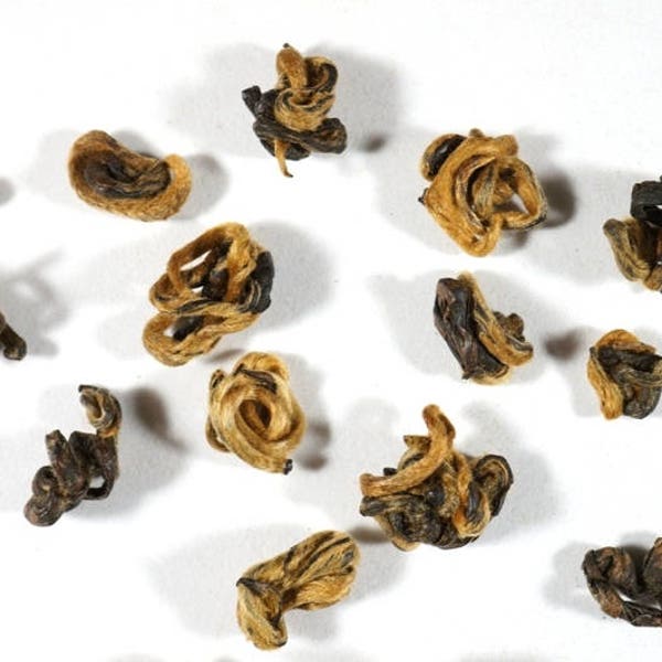 Golden Spiral Yunnan Black Tea. All Natural Gourmet Loose Leaf Black Tea.