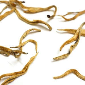 Golden Yunnan Black Tea, Aka. Yunnan Gold Tips