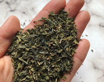 Sencha Mint