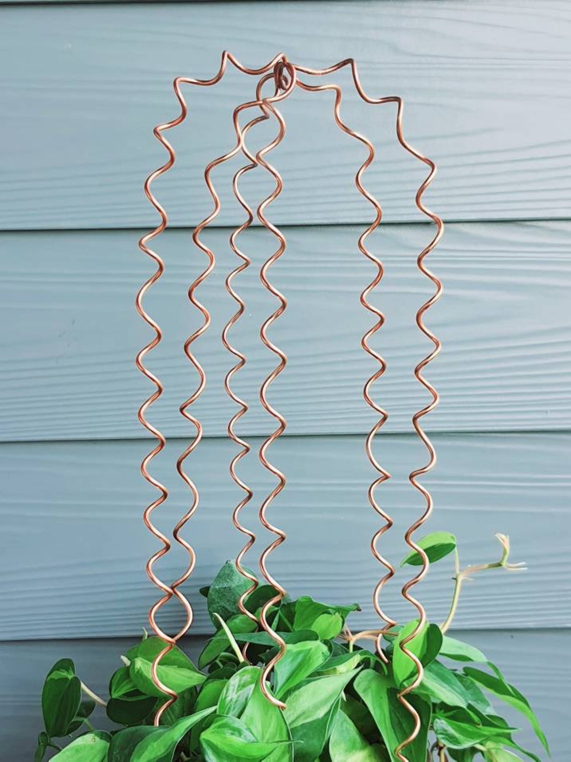 Rainfall arch plant trellis indoor plant trellis house