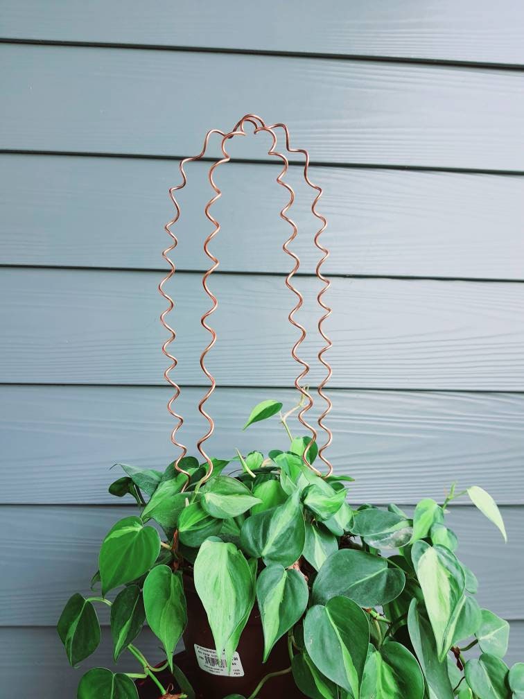 Rainfall arch plant trellis indoor plant trellis house
