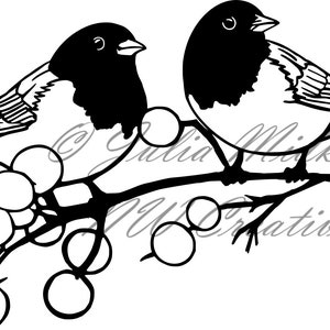 Juncos and Berries Original Vector Art Design ~ SVG PNG Clipart Image Digital Download ~ Cricut die cutting cute bird ornithology winter