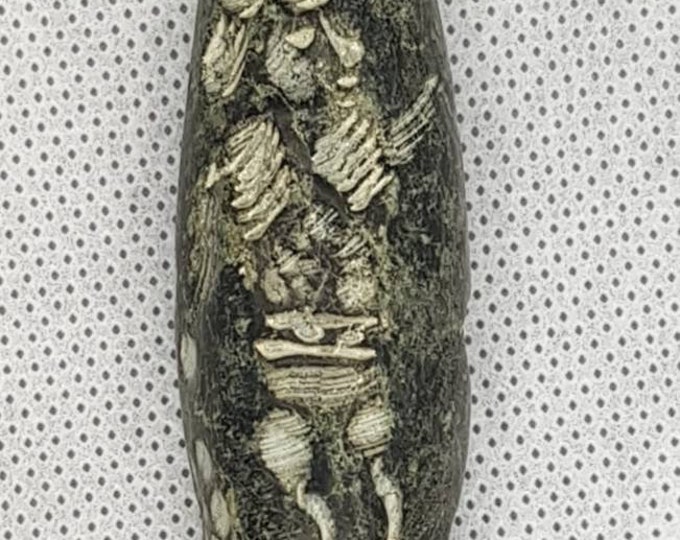 RARE ! Sasanian Empire Antique Stone Beads Fly Figer Intaglio