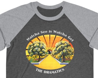 Raglan sweatshirt Tee, The Dramatics, Funk, Soul Music Graphic Print, Baseball Raglan T Shirt, Unisex Band Shirt