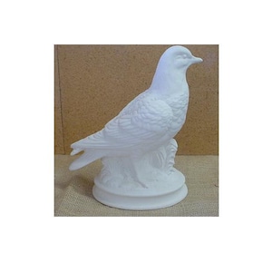 pigeon - a beautiful bird for your decoration.