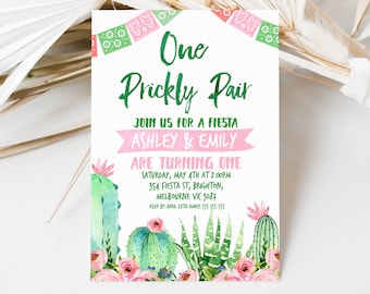 Cactus 1st Birthday Decor Set – One Prickly Pair Backdrop For Twins, Mexican Fiesta Theme, Vinyl Banner & Garland