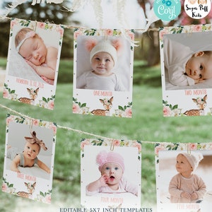 INSTANT DOWNLOAD Oh Deer Monthly Banner, Girls Printable Pink Floral Deer Monthly Banner, Editable Deer Themed Monthly Banner, Blush Floral