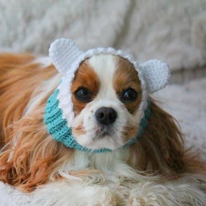 Op de afbeelding: Een Cavalier King Charles Spaniel draagt een gehaakte witte en turquoise hoed met berenoren. De hond heeft bruin en wit haar en ligt op een zacht, wit oppervlak.