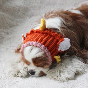 May include: A crocheted pet hat in a vibrant orange color with a ribbed texture, featuring a light pink scalloped border, two small yellow horn-like protrusions on top, and white ear-shaped accents on the sides, worn by a brown and white dog.