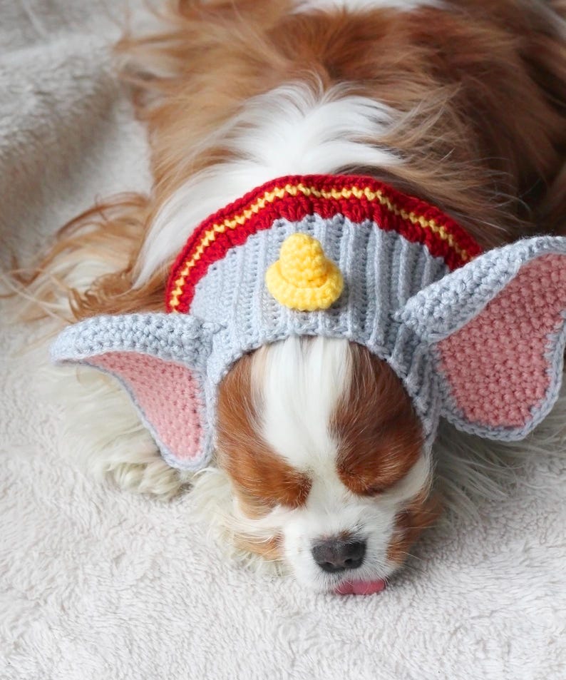 A beginner-friendly crochet pattern for a Flying Elephant dog snood. This dog snood features a grey and pink colourway. The Flying Elephant dog snood is modeled by a Blenheim Cavalier King Charles Spaniel.