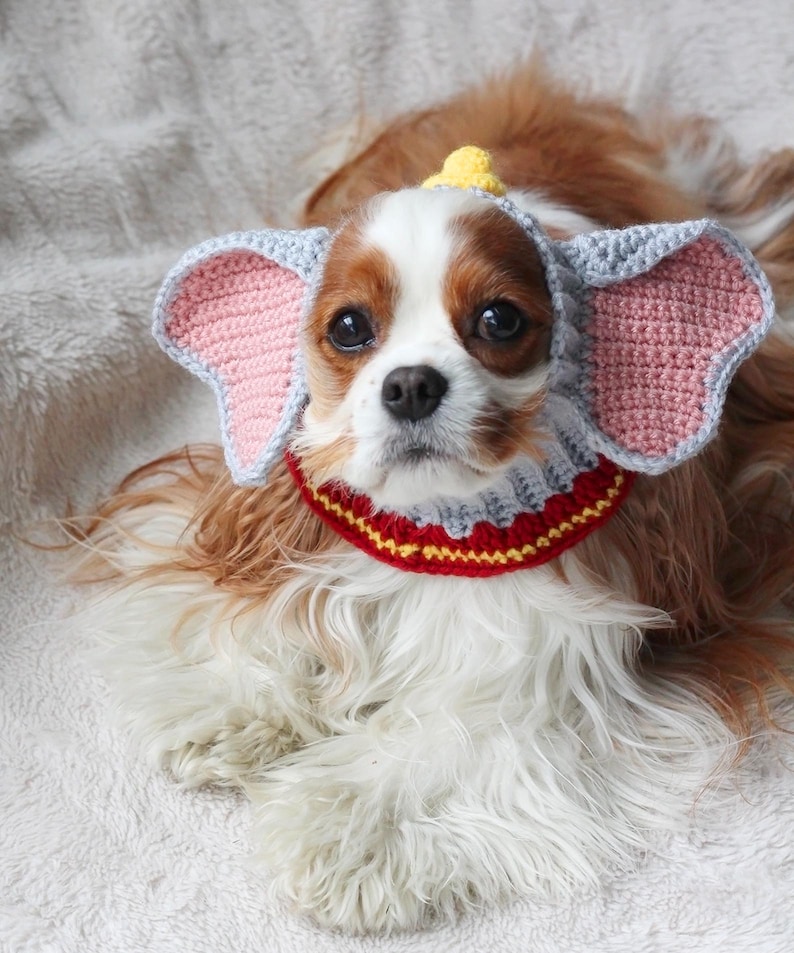A beginner-friendly crochet pattern for a Flying Elephant dog snood. This dog snood features a grey and pink colourway. The Flying Elephant dog snood is modeled by a Blenheim Cavalier King Charles Spaniel.