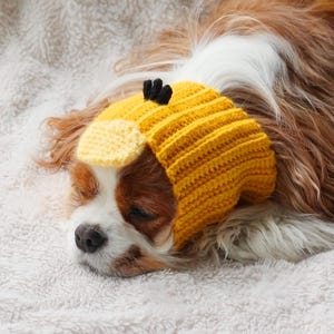 May include: A bright yellow crocheted hat for a dog, featuring a textured ribbed pattern, a small light yellow bill on the front, and three small black vertical accents on the top. The hat is designed to fit snugly around the head and ears.