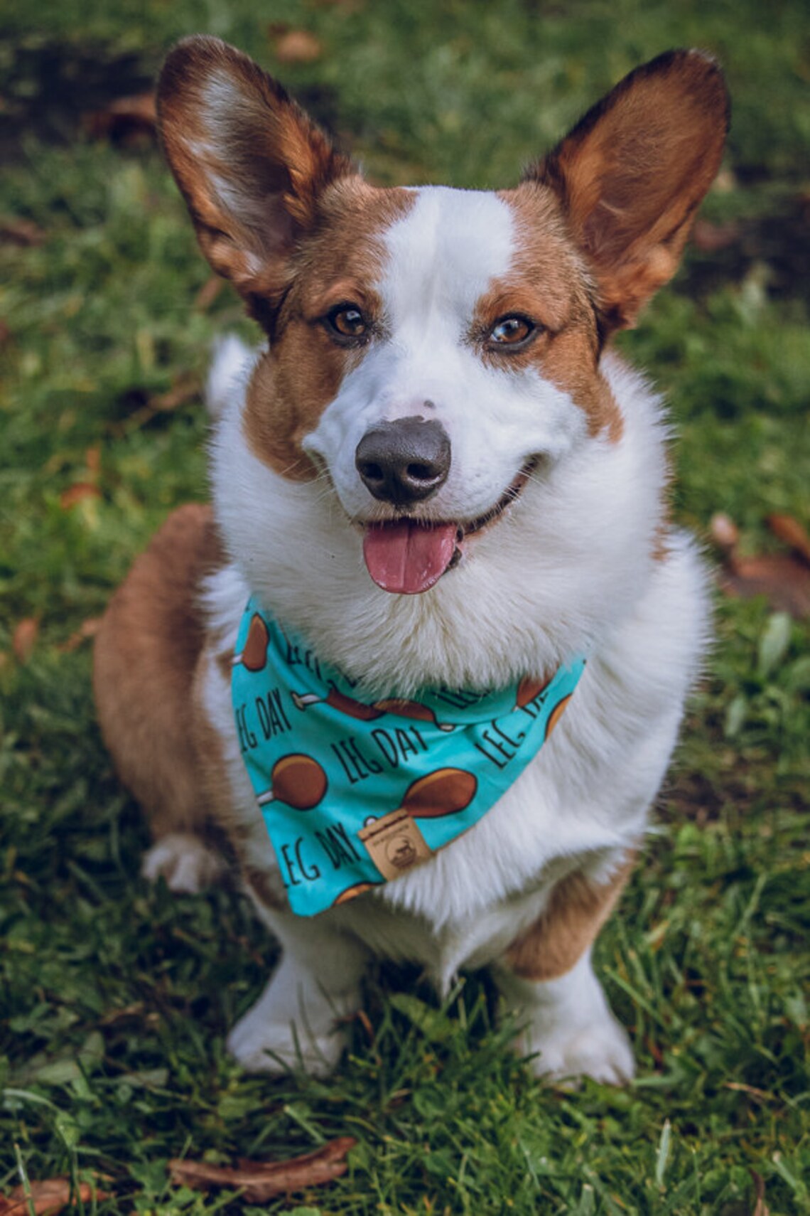 Handgemachte Hund Bandana in Mint grün w / Türkei Beine / Etsy