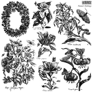 May include: Black and white botanical illustrations featuring various flowers, butterflies, and insects. Includes a floral wreath and detailed drawings of tulips, lilies, and other plants. The text "Nature's Etchings" is visible.
