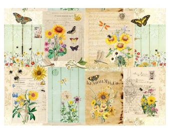 Roycycled Treasures Botanical Masterboard Decoupage Paper - 20"x30"