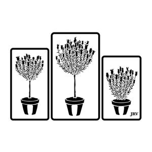Puede incluir: Tres ilustraciones en blanco y negro de plantas de lavanda en macetas. Las plantas son de diferentes tamaños y están dispuestas en fila. La planta más pequeña está a la izquierda, la planta del medio está en el centro y la planta más grande está a la derecha. Las ilustraciones son simples y elegantes.