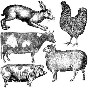 IOD FARM ANIMALS Decor Stamp by Iron Orchid Designs