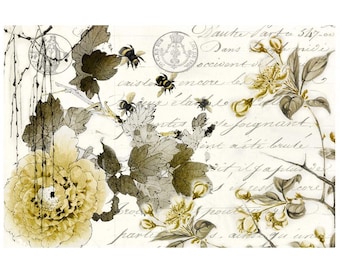 Roycycled Treasures Sepia Blossom Decoupage Tissue Paper - 20" x 30"