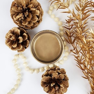 Bronze Lux Metallic Paint - Paint Couture | Smooth Satin Finish