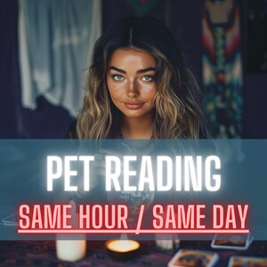 Helderziend lezen van huisdieren, telepathische communicatie met dieren, nauwkeurige tarotlezen voor huisdieren, lezen van overleden huisdieren, houdt mijn huisdier van mij?