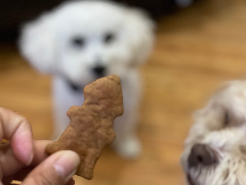 Peanut Butter Hydrants Homemade Dog Treats image 7