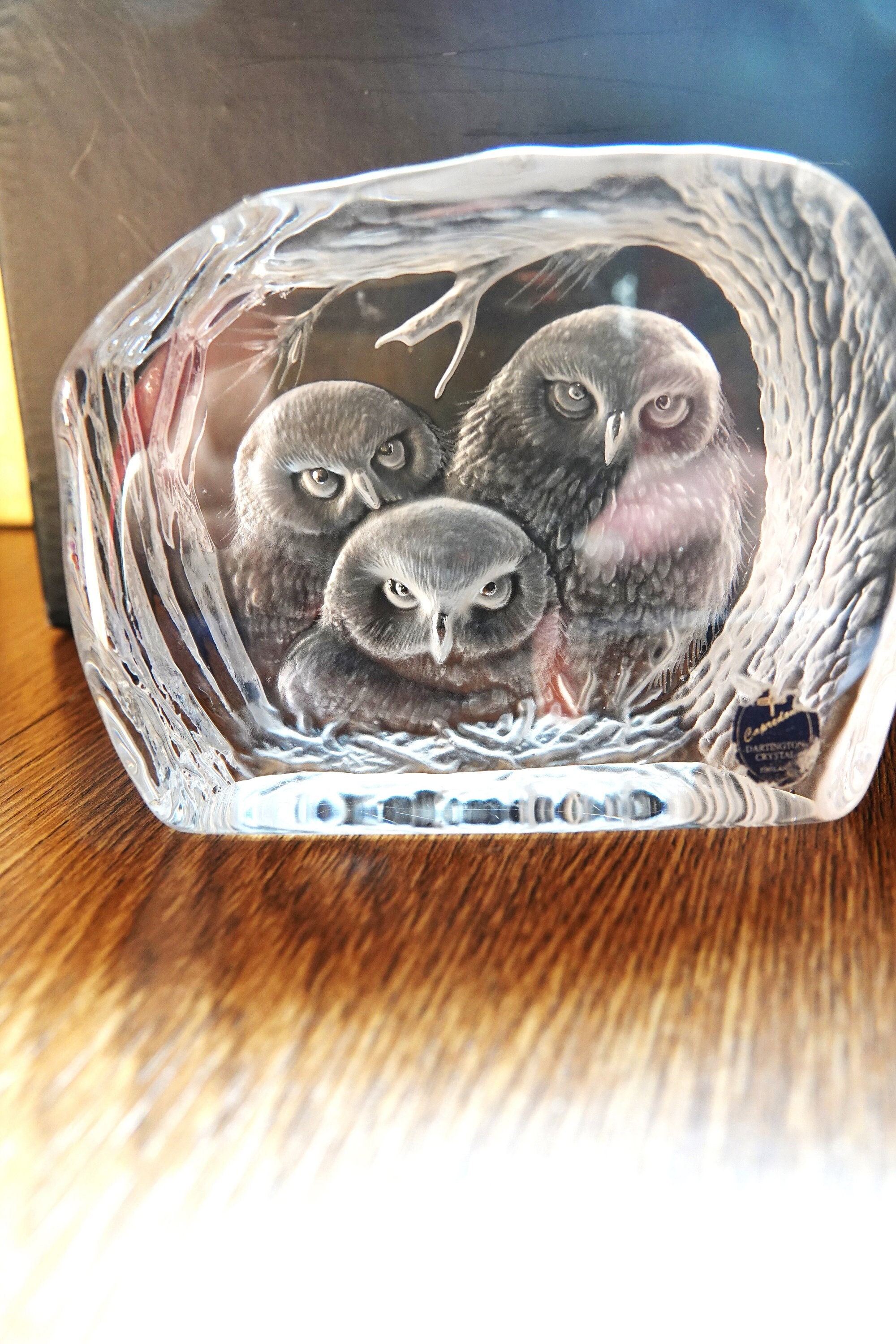 Crystal Paperweight -Three Owls - by Alfred Capredone for DARTINGTON CRYSTAL