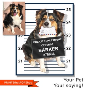 May include: A black and white dog with brown markings is wearing a black and white striped jail uniform and a sign that says "POLICE DEPARTMENT OFFENSE: BARKER 278936". The dog is holding a white envelope in its mouth.